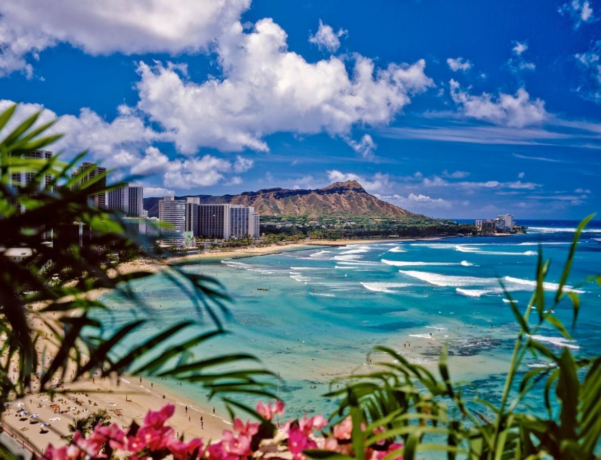 Beautiful Mountain View In Waikiki Sunset With Parking Lejlighed Honolulu Eksteriør billede